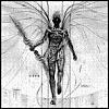 DarkFlare's Avatar